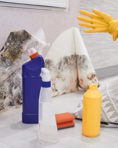 Close-up Of A Shocked Woman Looking At Mold On Wall