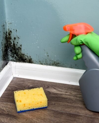 Spray bottle and sponge near black mould wall. House cleaning concept